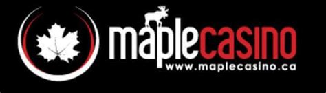 maple casino